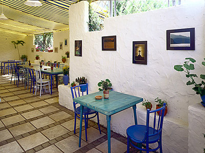 Ryby i owoce morza w Meltemi i Santorini